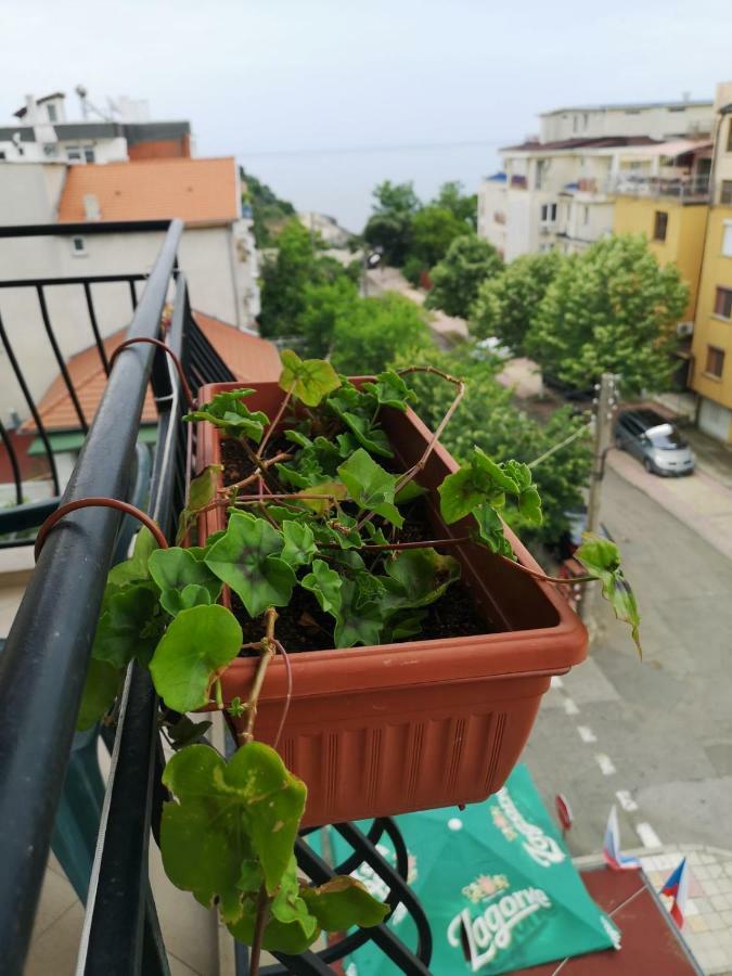 Kovachevi House Hotel Primorsko Ngoại thất bức ảnh